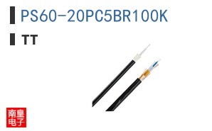 PS60-20PC5BR100K