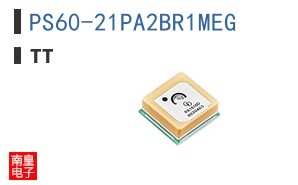 PS60-21PA2BR1MEG