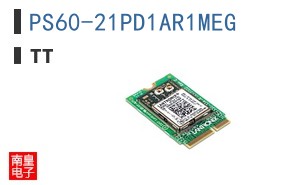 PS60-21PD1AR1MEG