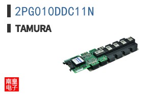 2PG010DDC11N