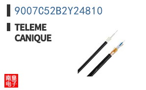 9007C52B2Y24810