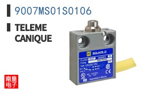 9007MS01S0106
