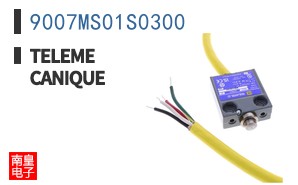9007MS01S0300