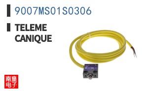 9007MS01S0306