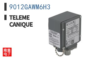 9012GAWM6H3