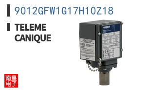 9012GFW1G17H10Z18