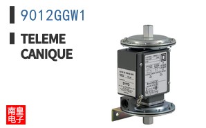 9012GGW1