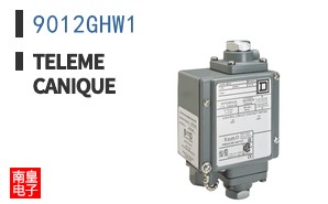 9012GHW1