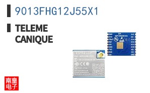 9013FHG12J55X1