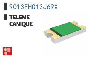 9013FHG13J69X