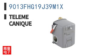 9013FHG19J39M1X