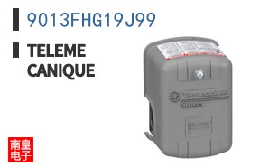 9013FHG19J99