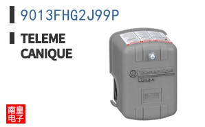 9013FHG2J99P