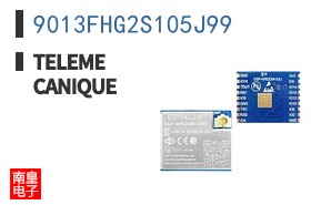 9013FHG2S105J99