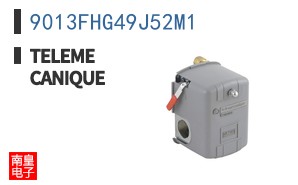 9013FHG49J52M1