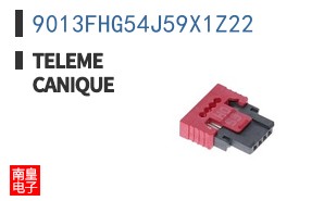 9013FHG54J59X1Z22