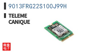 9013FRG22S100J99H