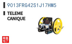 9013FRG42S1J17HM5