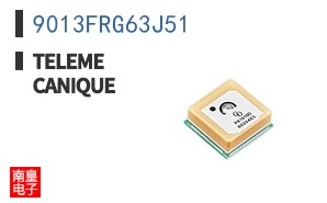 9013FRG63J51