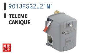 9013FSG2J21M1