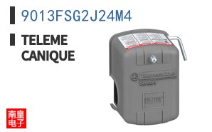 9013FSG2J24M4