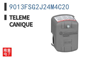 9013FSG2J24M4C20