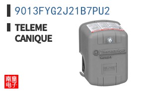 9013FYG2J21B7PU2