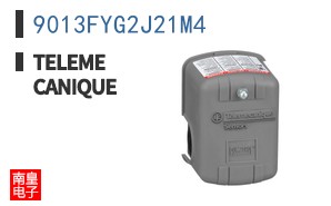 9013FYG2J21M4