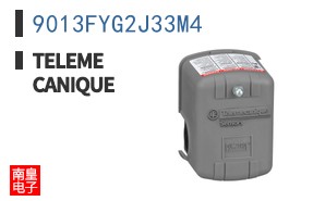 9013FYG2J33M4