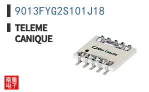 9013FYG2S101J18