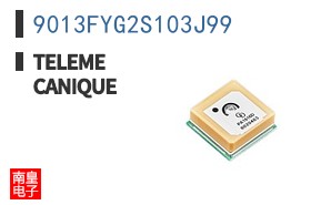 9013FYG2S103J99