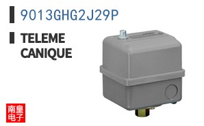 9013GHG2J29P
