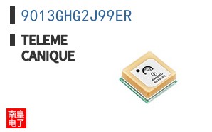 9013GHG2J99ER