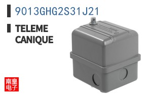 9013GHG2S31J21