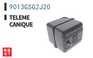 9013GSG2J20