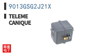 9013GSG2J21X