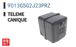 9013GSG2J23PRZ