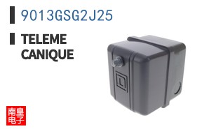 9013GSG2J25