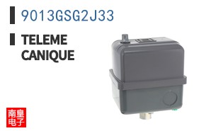 9013GSG2J33