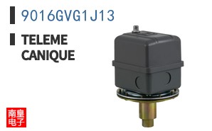 9016GVG1J13