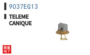9037EG13