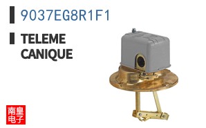 9037EG8R1F1