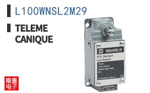 L100WNSL2M29