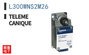 L300WNS2M26