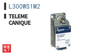 L300WS1M2
