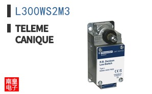 L300WS2M3