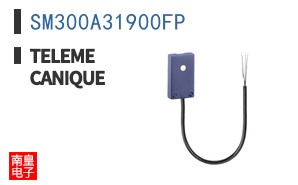 SM300A31900FP
