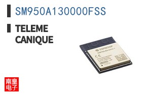 SM950A130000FSS