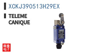 XCKJ390513H29EX