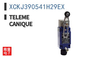 XCKJ390541H29EX